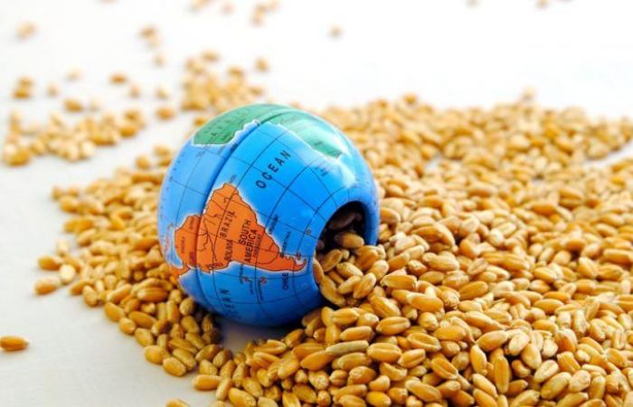 الامم المتحدة تهمل الممرات الآمنة لتصدير الحبوب