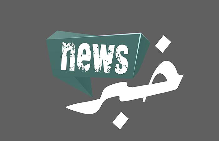 الضاهر زار الحريري: ابلغته عزوفي عن الترشح خدمة للمشروع الوطني ولست ضعيفا