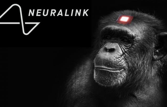 Neuralink حفزت دماغ قرد للعب ألعاب الفيديو بعقله