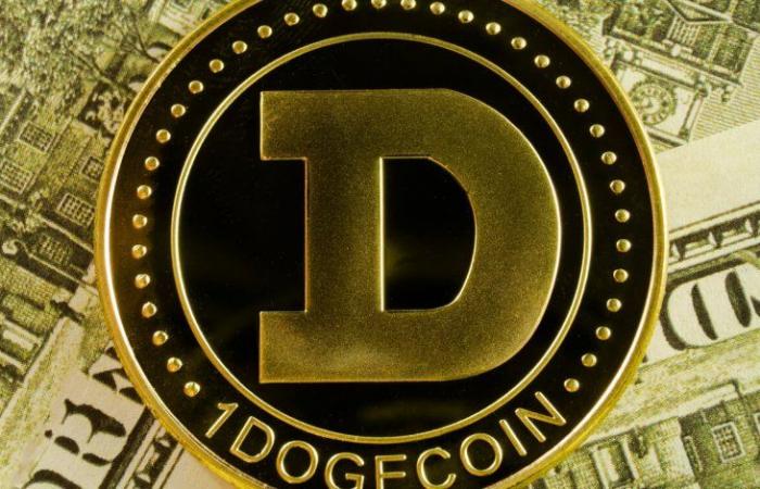 العملة المشفرة دوجكوين تقفز 50%