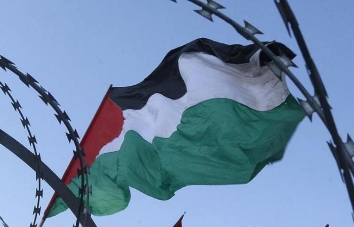 المنح العربية لميزانية فلسطين تتراجع 85% خلال 2020