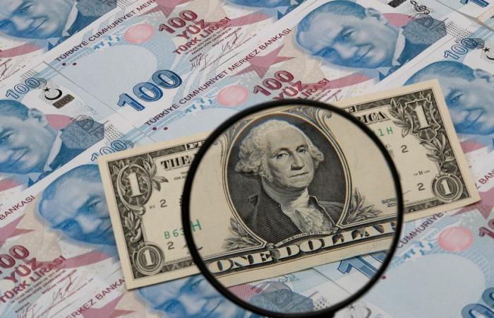 الليرة التركية تواصل تراجعها والبنك المركزي على المحك