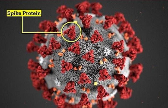 جديد كورونا.. لا علاقة بين فصيلة الدم والإصابة