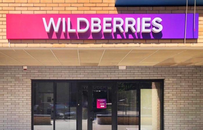 شركة Wildberries الروسية تقتحم السوق الأمريكية