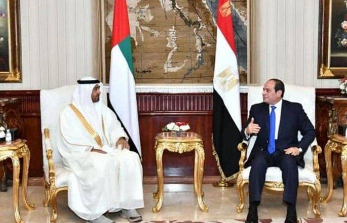 تأكيد مصري ـ إماراتي على التنسيق لحماية الأمن العربي