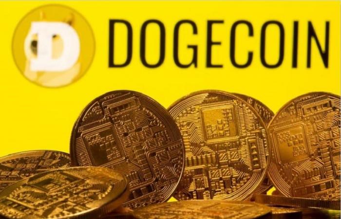 Dogecoin تنخفض بعد تصريحات ايلون ماسك