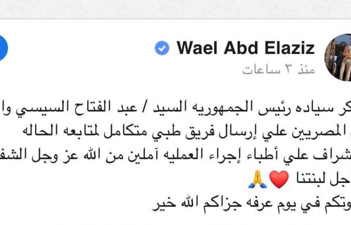 بفريق طبي متكامل.. السيسي يتدخل لعلاج ياسمين عبدالعزيز