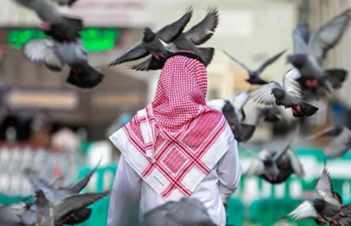 السعودية تعلن عودة استقبال السياح من مختلف الدول