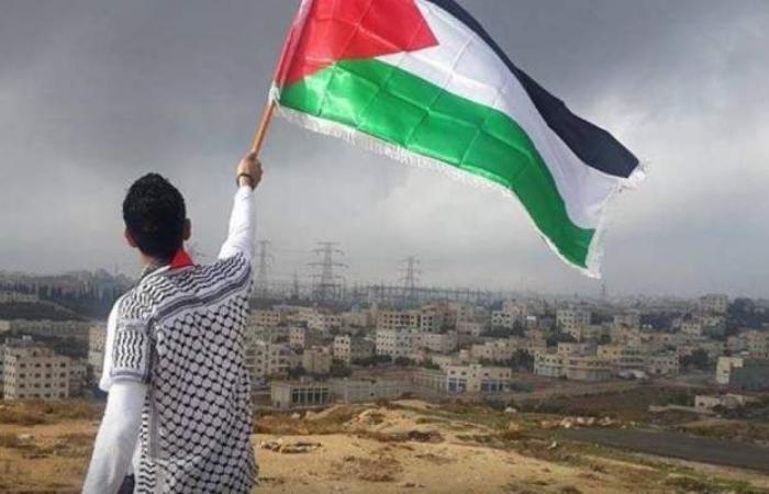 موقع علي بابا يتيح الشحن إلى دولة فلسطين