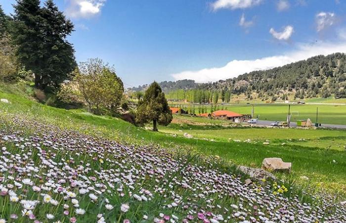 حرارة ورطوبة… إليكم طقس لبنان