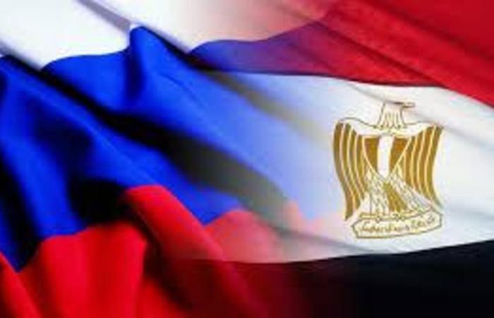 3 شركات روسية تصدر منتجات جديدة إلى مصر