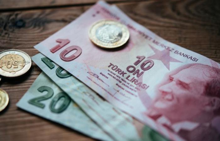 الليرة التركية تتراجع على خلفية تصريحات لمحافظ البنك المركزي‎‎