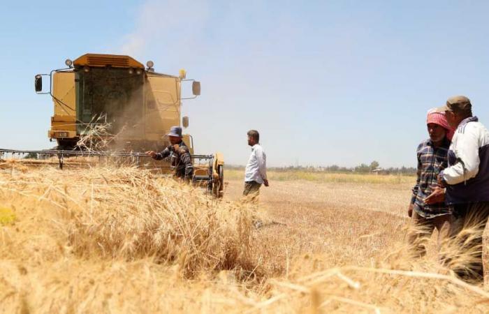 دمشق : لدينا ما يكفي من القمح