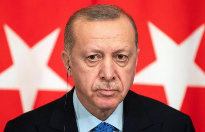 صورة أردوغان مع أحفاده للبيع في مزاد علني