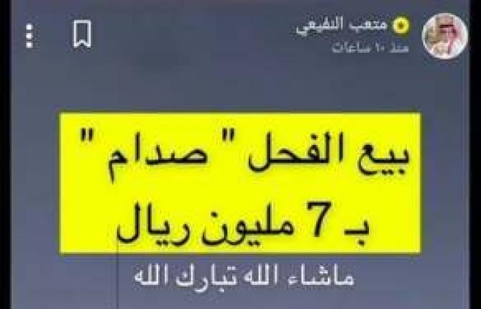 السعودية‎‎ : مزاد لبيع جمل يصل إلى 7 ملايين ريال