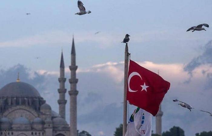 تركيا: نسعى لحل الخلافات مع مصر والسعودية