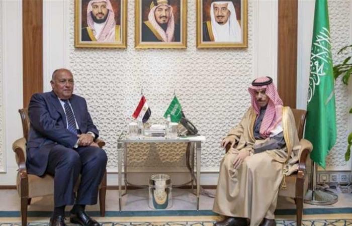 لبنان في الاجتماع الوزاري بين مصر والسعودية