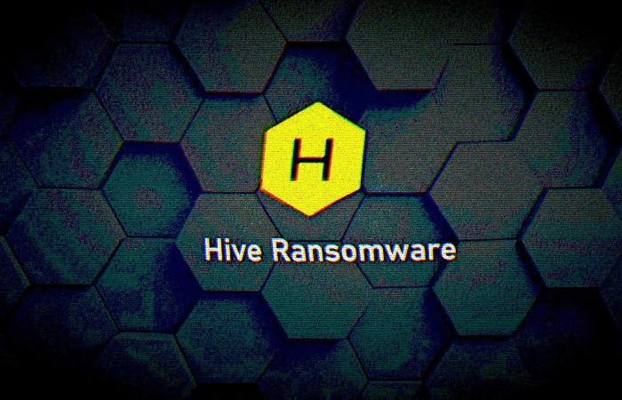 مكافأة بملايين الدولارات مقابل معلومات عن ارتباط عصابة Hive بالحكومات الأجنبية