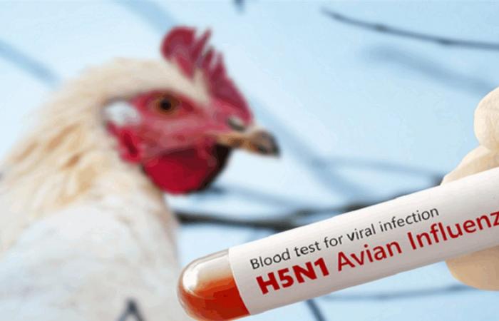 إنفلونزا تهدد العالم.. لديها قدرة على التحور والانتقال إلى البشر!