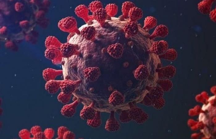 معلومات وتفاصيل مفاجئة.. هذه مستجدات تحقيقات "فيروس كورونا"