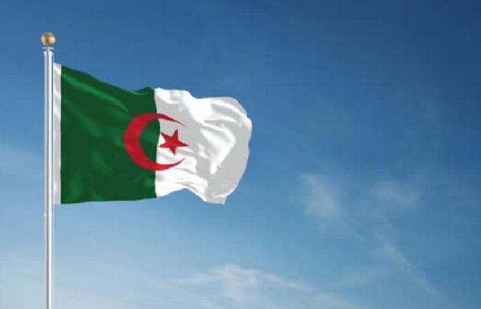 الجيش الجزائري يسقط طائرة استطلاع مسيرة مسلحة