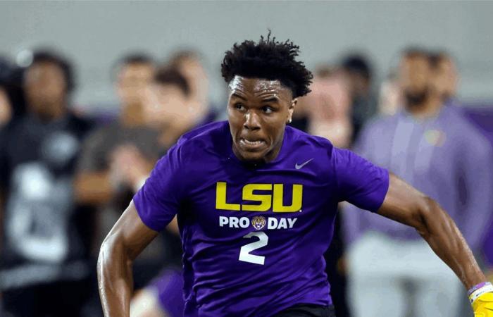 حادث مأسوي.. رياضي ينهي حياته خلال مطاردة الشرطة له