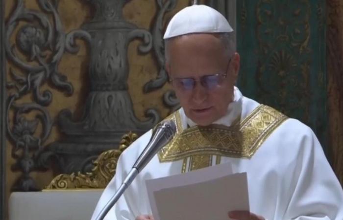 البابا ليو ينتقد “السياسات القومية”