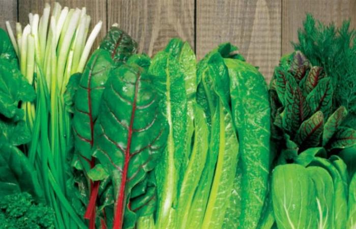 فائدة غير متوقعة.. هذا ما تفعله "الخضروات الورقية" بالجسم