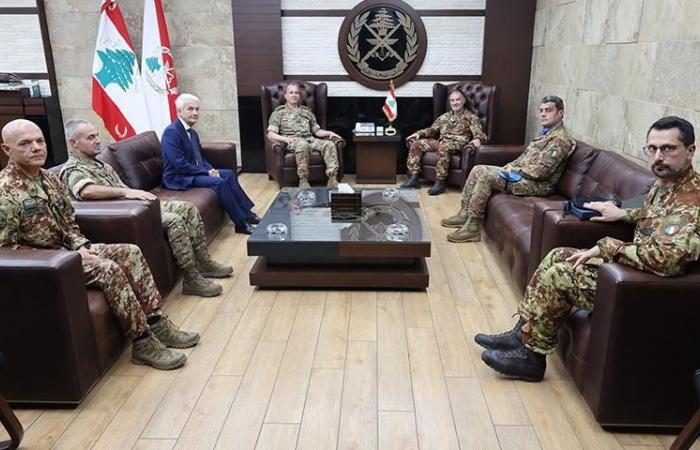 هيكل يبحث تعزيز التعاون العسكري مع وفد إيطالي واليونيفيل