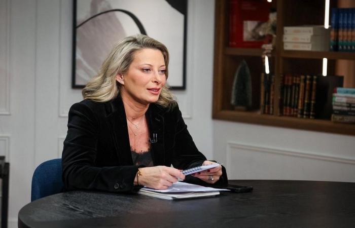 أيوب: تعيين مدني في الميكانيزم لكسب الوقت.. وعلى الرئيس ارسال رسالة الى المجلس حول قانون الانتخاب