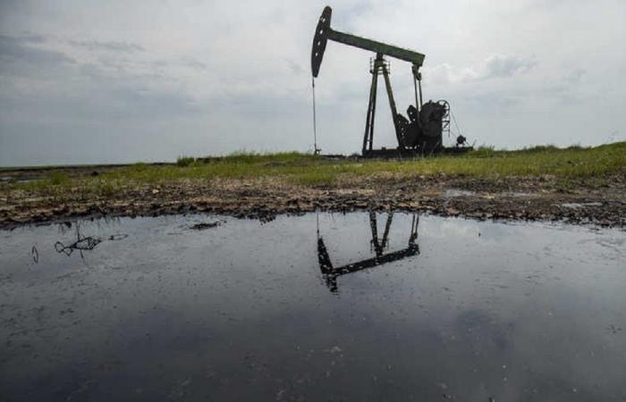 أسعار النفط تصعد 