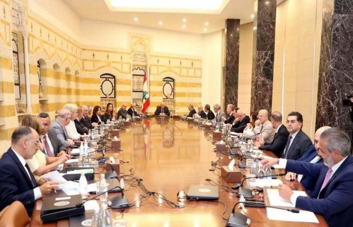 هيكل يعرض تقريره الشهري على الحكومة