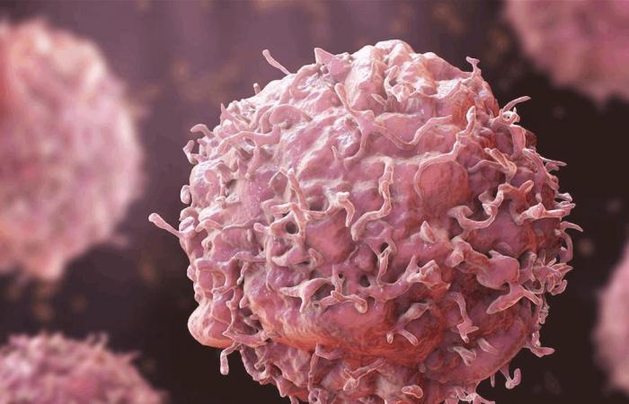 دراسة تكشف عن سلاح ضد الجهاز المناعي لدى مرضى السرطان