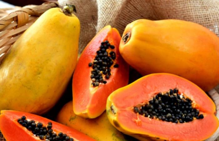 البابايا في الحمل.. فوائد ومخاطر يجب معرفتها