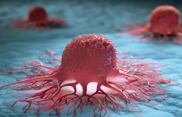 تصوير لحظة تسلّل الخلايا السرطانية إلى الدماغ للمرة الأولى