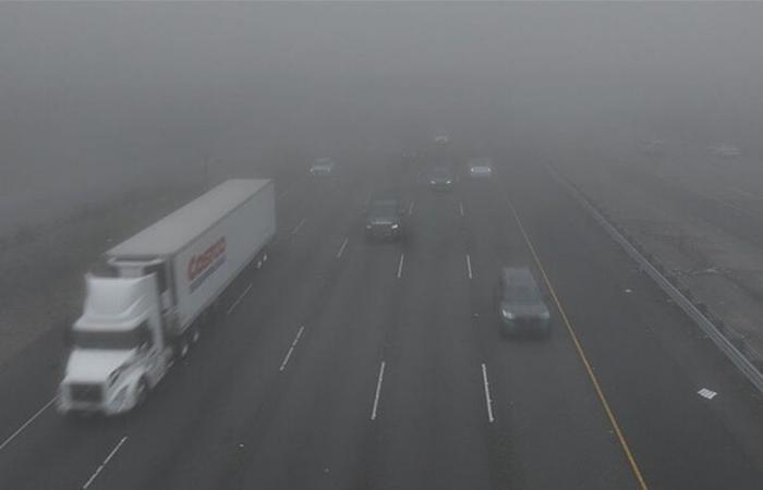 في كاليفورنيا.. ظاهرة طبيعية تتحول إلى أزمة صحية خطيرة