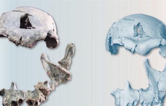 وجه من عصور ما قبل التاريخ يكشف مفاجأة علمية