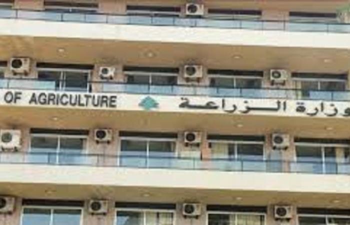 “الزراعة”: للإمتناع عن نشر أي معلومات عن الحمى القلاعية