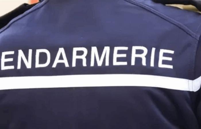 إعتقال مسلّح في فرنسا... هذا ما فعله في وسط الشارع