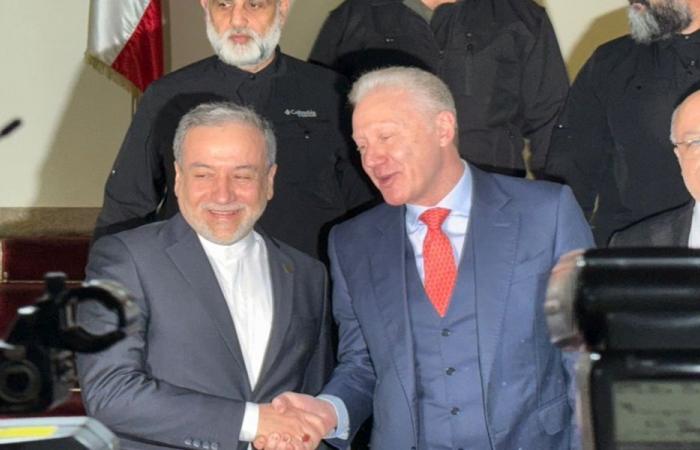 عراقجي يلتقي رجّي في وزارة الخارجية