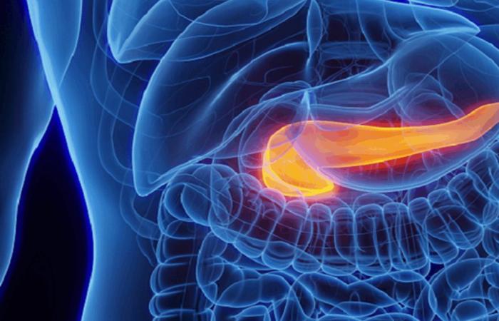 مواد نتعرض لها يوميًا تهدد البنكرياس وتؤثر على صحتنا.. تجنّبها!
