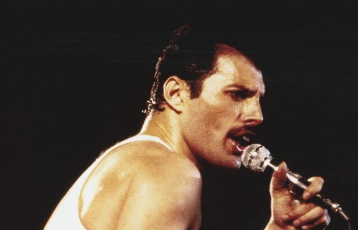 بعد صراع طويل مع سرطان نادر... وفاة الإبنة السريّة لفريدي ميركوري