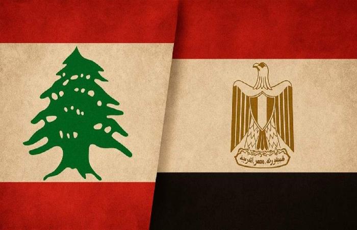 عبد العاطي لسلام: مصر تدعم سيادة لبنان