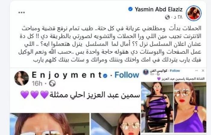 "مطلعني عريانة".. ياسمين عبد العزيز غاضبة: "يا رب يتردلك في أمك وأختك" (صورة)