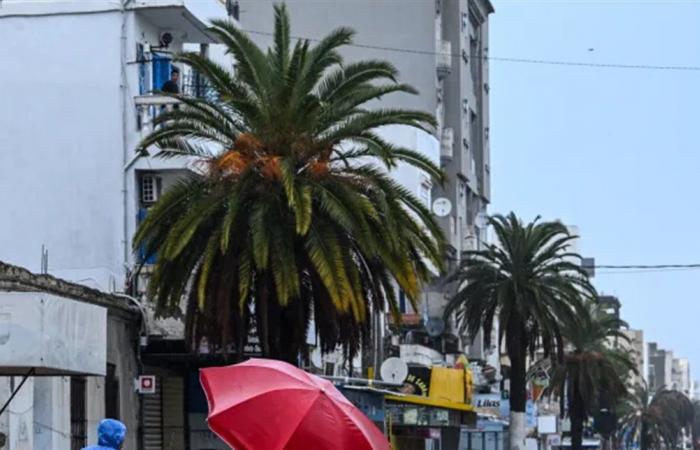 تحذيرات جوية حادة تمتد من شمال أفريقيا إلى الشرق الأوسط