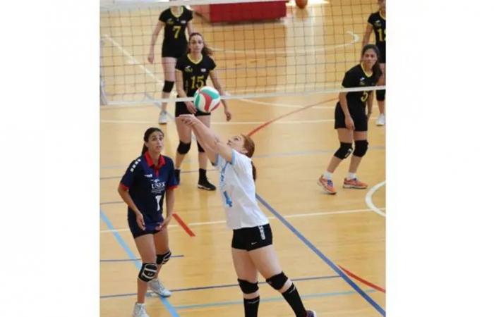 للجامعات اللبنانية .. انطلاق أضخم موسم بـ 39 رياضة