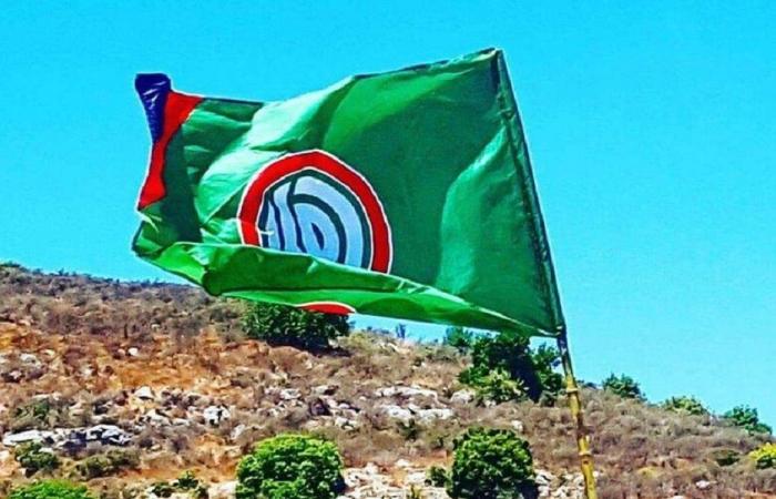 مسؤول اسرائيلي: لهذا السبب حركة أمل لا تتعرض لهجمات!