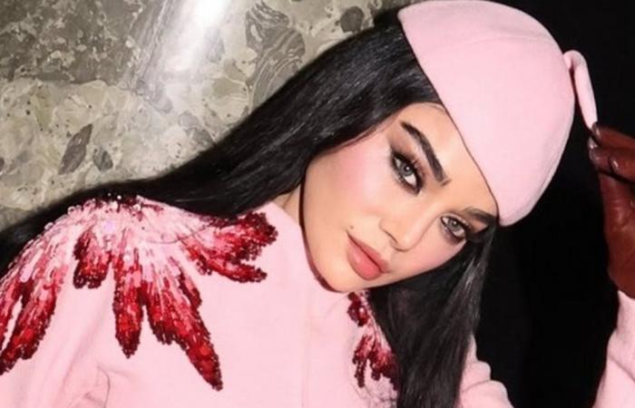 بعد الرسالة التي وجهها لها.. هيفا وهبي ترد على الشامي: لا بدنا نروق (صورة)