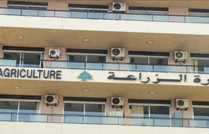 “الزراعة” توقّع مشروعًا مع “الفاو” للسيطرة على الحمى القلاعية