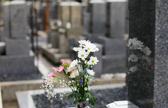 فنجان قهوة على الضريح.. قصة وفاء أبكت الملايين